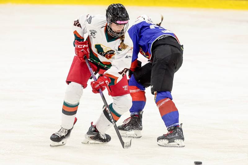 Ice Hockey. Tauron Liga Hokeja Kobiet. Kojotki Naprzod Janow Katowice - BS Polonia Bytom. 28.03.2026