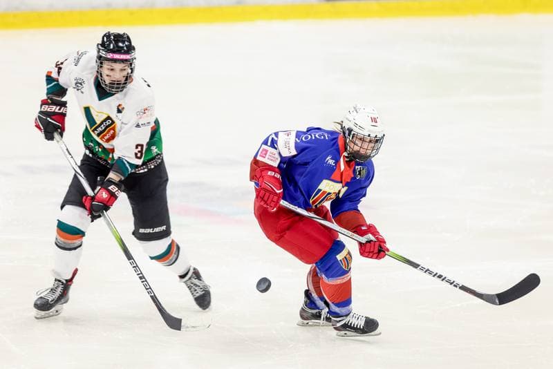 Ice Hockey. Tauron Liga Hokeja Kobiet. Kojotki Naprzod Janow Katowice - BS Polonia Bytom. 28.03.2026