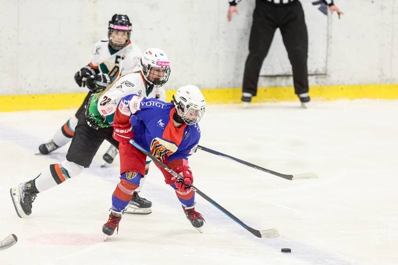 Ice Hockey. Tauron Liga Hokeja Kobiet. Kojotki Naprzod Janow Katowice - BS Polonia Bytom. 28.03.2026