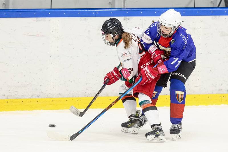 Ice Hockey. Tauron Liga Hokeja Kobiet. Kojotki Naprzod Janow Katowice - BS Polonia Bytom. 28.03.2026