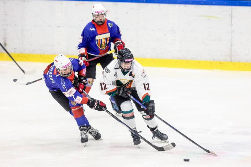 Ice Hockey. Tauron Liga Hokeja Kobiet. Kojotki Naprzod Janow Katowice - BS Polonia Bytom. 28.03.2026