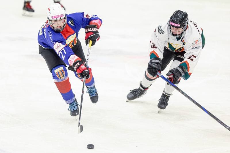 Ice Hockey. Tauron Liga Hokeja Kobiet. Kojotki Naprzod Janow Katowice - BS Polonia Bytom. 28.03.2026