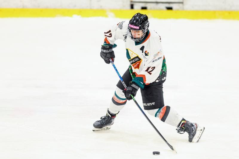 Ice Hockey. Tauron Liga Hokeja Kobiet. Kojotki Naprzod Janow Katowice - BS Polonia Bytom. 28.03.2026