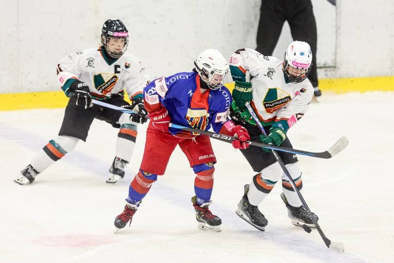 Ice Hockey. Tauron Liga Hokeja Kobiet. Kojotki Naprzod Janow Katowice - BS Polonia Bytom. 28.03.2026