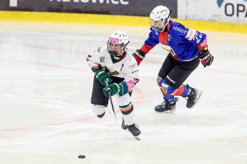 Ice Hockey. Tauron Liga Hokeja Kobiet. Kojotki Naprzod Janow Katowice - BS Polonia Bytom. 28.03.2026