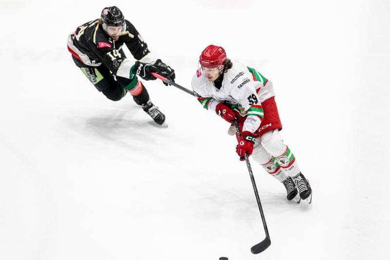 Ice Hockey. Tauron Hokej Liga. ECB Zaglebie Sosnowiec - GKS Tychy. 16.03.2026