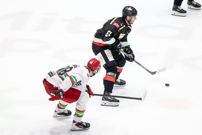 Ice Hockey. Tauron Hokej Liga. ECB Zaglebie Sosnowiec - GKS Tychy. 16.03.2026