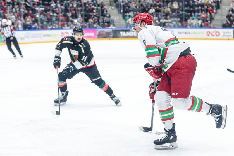 Ice Hockey. Tauron Hokej Liga. ECB Zaglebie Sosnowiec - GKS Tychy. 17.03.2026