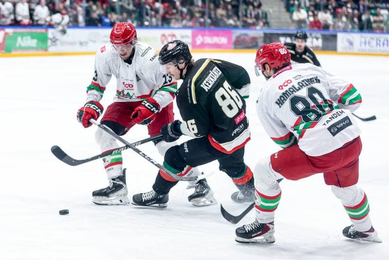 Ice Hockey. Tauron Hokej Liga. ECB Zaglebie Sosnowiec - GKS Tychy. 17.03.2026