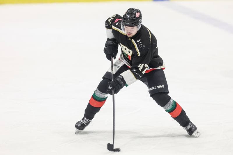 Ice Hockey. Tauron Hokej Liga. JKH GKS Jastrzebie - GKS Tychy. 04.03.2026