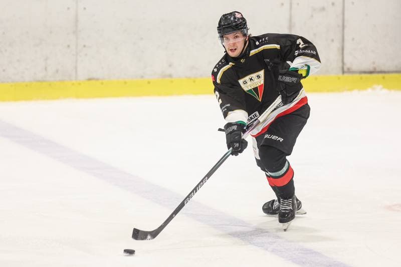 Ice Hockey. Tauron Hokej Liga. JKH GKS Jastrzebie - GKS Tychy. 04.03.2026