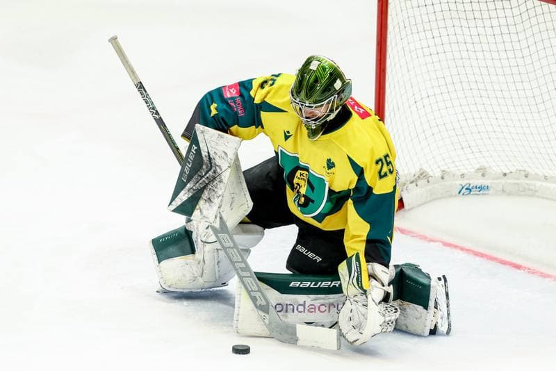 Ice Hockey. Tauron Hokej Liga. GKS Katowice - Comarch Cracovia. 01.03.2026