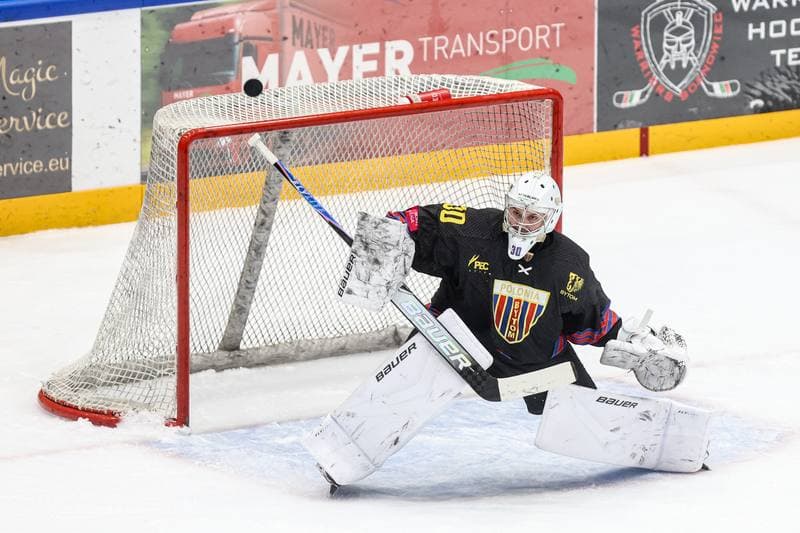 Ice Hockey. Tauron Hokej Liga. ECB Zaglebie Sosnowiec - BS Polonia Bytom. 01.03.2026
