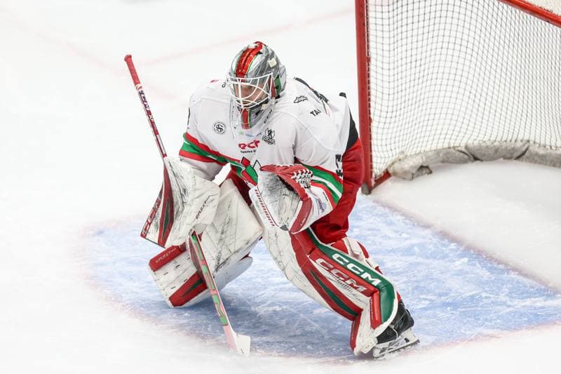 Ice Hockey. Tauron Hokej Liga. ECB Zaglebie Sosnowiec - BS Polonia Bytom. 01.03.2026