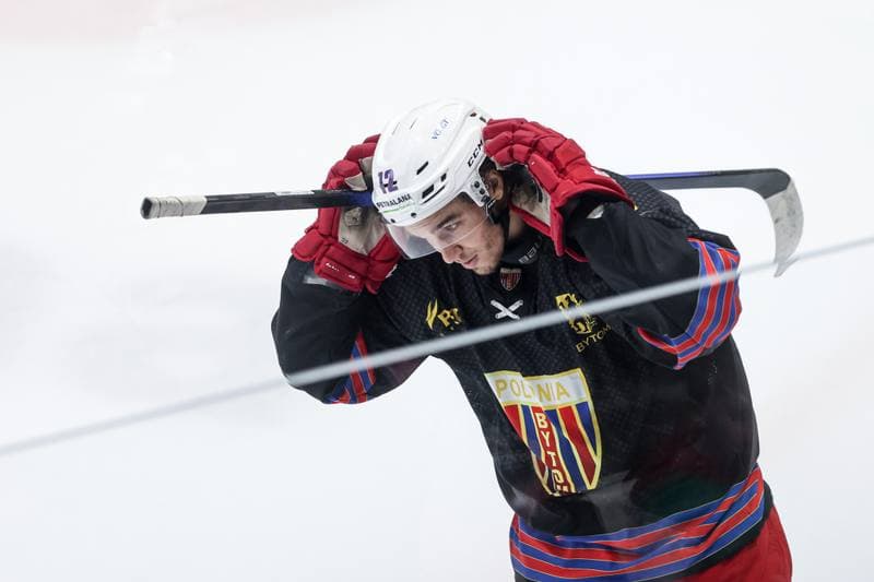 Ice Hockey. Tauron Hokej Liga. ECB Zaglebie Sosnowiec - BS Polonia Bytom. 01.03.2026