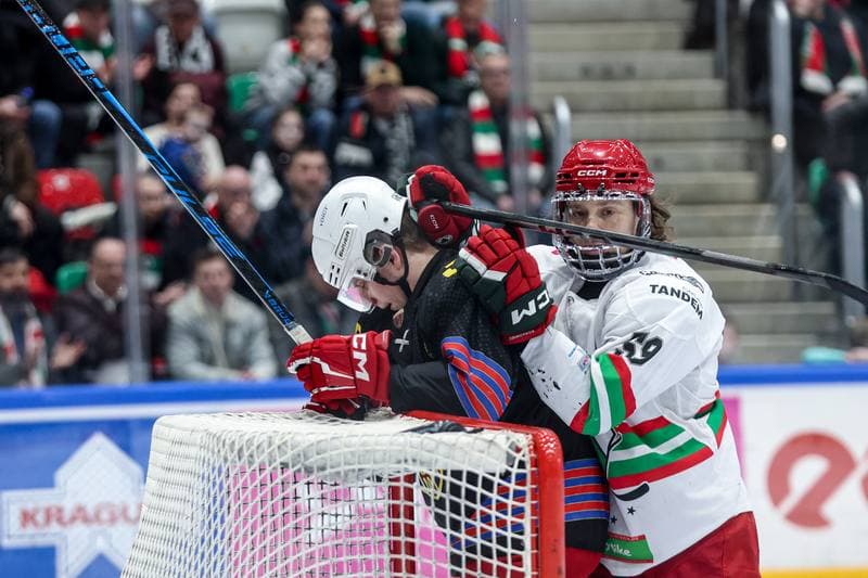 Ice Hockey. Tauron Hokej Liga. ECB Zaglebie Sosnowiec - BS Polonia Bytom. 01.03.2026