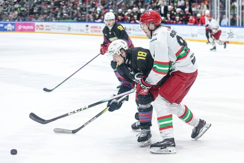 Ice Hockey. Tauron Hokej Liga. ECB Zaglebie Sosnowiec - BS Polonia Bytom. 01.03.2026