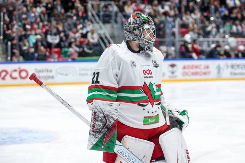 Ice Hockey. Tauron Hokej Liga. ECB Zaglebie Sosnowiec - BS Polonia Bytom. 01.03.2026