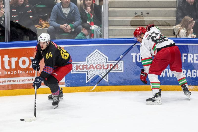 Ice Hockey. Tauron Hokej Liga. ECB Zaglebie Sosnowiec - BS Polonia Bytom. 01.03.2026