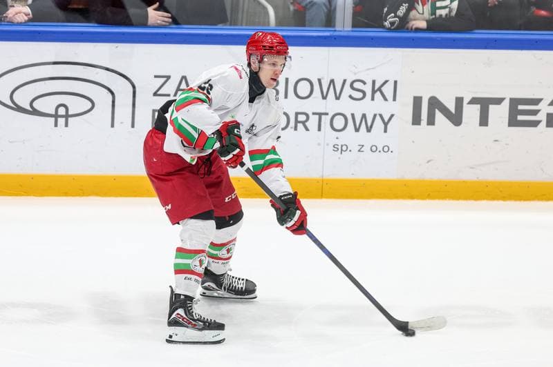 Ice Hockey. Tauron Hokej Liga. ECB Zaglebie Sosnowiec - BS Polonia Bytom. 01.03.2026