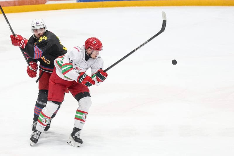 Ice Hockey. Tauron Hokej Liga. ECB Zaglebie Sosnowiec - BS Polonia Bytom. 01.03.2026