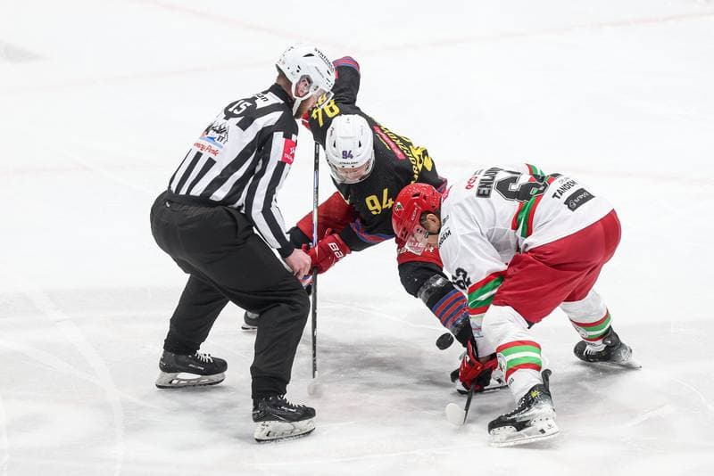 Ice Hockey. Tauron Hokej Liga. ECB Zaglebie Sosnowiec - BS Polonia Bytom. 01.03.2026