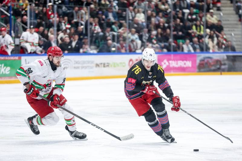 Ice Hockey. Tauron Hokej Liga. ECB Zaglebie Sosnowiec - BS Polonia Bytom. 01.03.2026