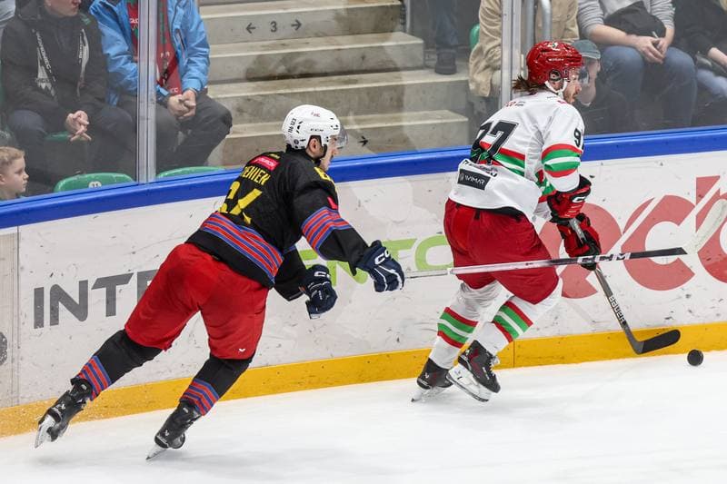 Ice Hockey. Tauron Hokej Liga. ECB Zaglebie Sosnowiec - BS Polonia Bytom. 01.03.2026