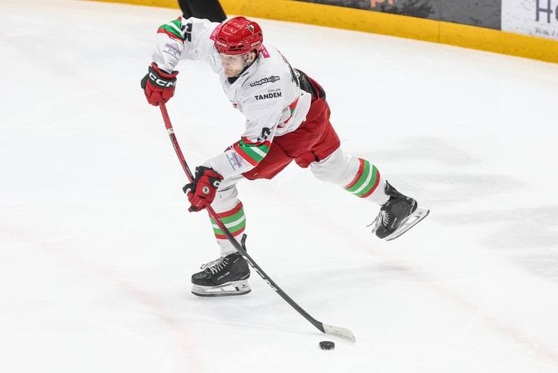 Ice Hockey. Tauron Hokej Liga. ECB Zaglebie Sosnowiec - BS Polonia Bytom. 01.03.2026