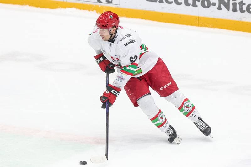 Ice Hockey. Tauron Hokej Liga. ECB Zaglebie Sosnowiec - BS Polonia Bytom. 01.03.2026