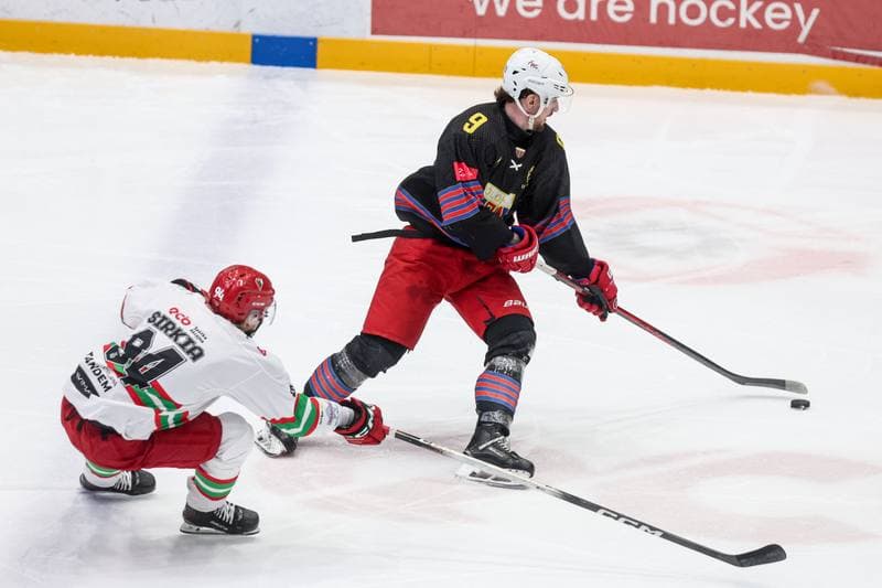 Ice Hockey. Tauron Hokej Liga. ECB Zaglebie Sosnowiec - BS Polonia Bytom. 01.03.2026