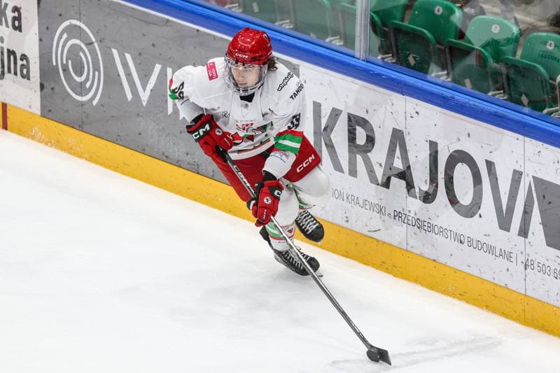 Ice Hockey. Tauron Hokej Liga. ECB Zaglebie Sosnowiec - BS Polonia Bytom. 01.03.2026