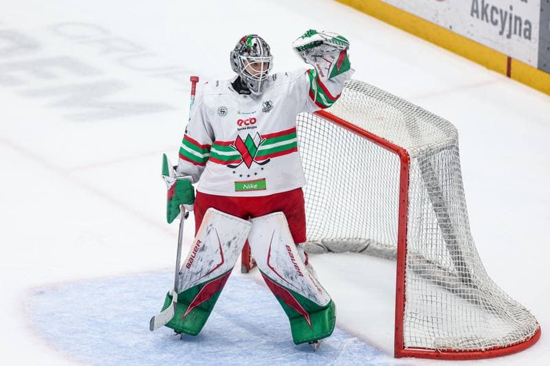 Ice Hockey. Tauron Hokej Liga. ECB Zaglebie Sosnowiec - BS Polonia Bytom. 01.03.2026