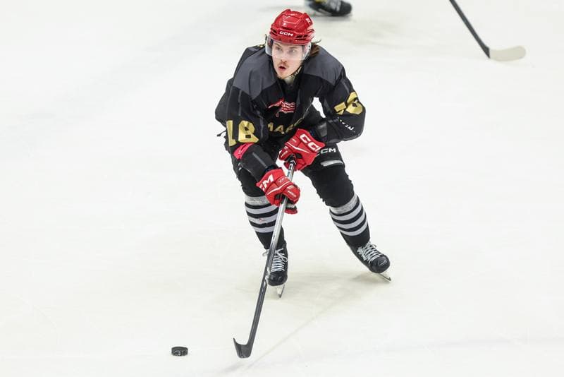 Ice Hockey. Tauron Hokej Liga. GKS Katowice - Comarch Cracovia. 28.02.2026