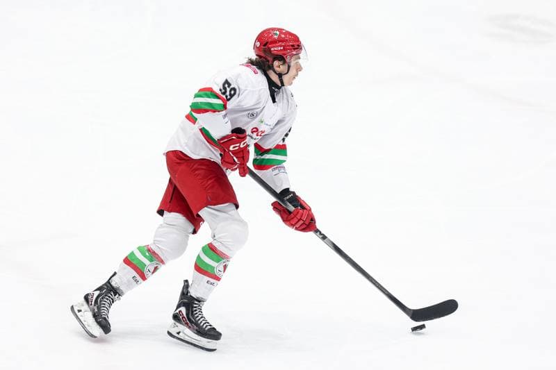 Ice Hockey. Tauron Hokej Liga. ECB Zaglebie Sosnowiec - GKS Katowice. 31.10.2025