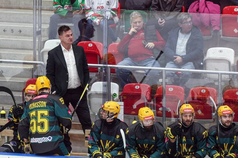 Ice Hockey. Tauron Hokej Liga. ECB Zaglebie Sosnowiec - GKS Katowice. 31.10.2025