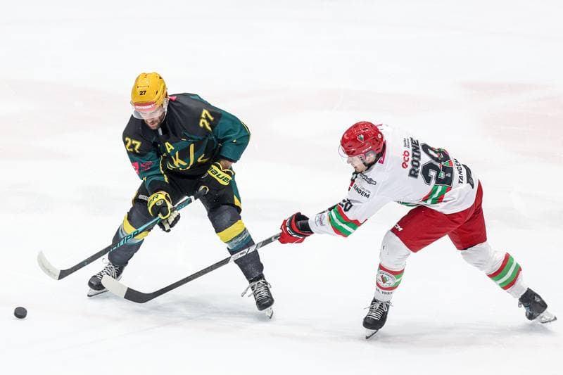 Ice Hockey. Tauron Hokej Liga. ECB Zaglebie Sosnowiec - GKS Katowice. 31.10.2025