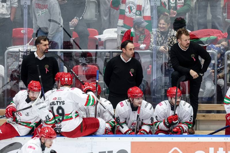 Ice Hockey. Tauron Hokej Liga. ECB Zaglebie Sosnowiec - GKS Katowice. 31.10.2025