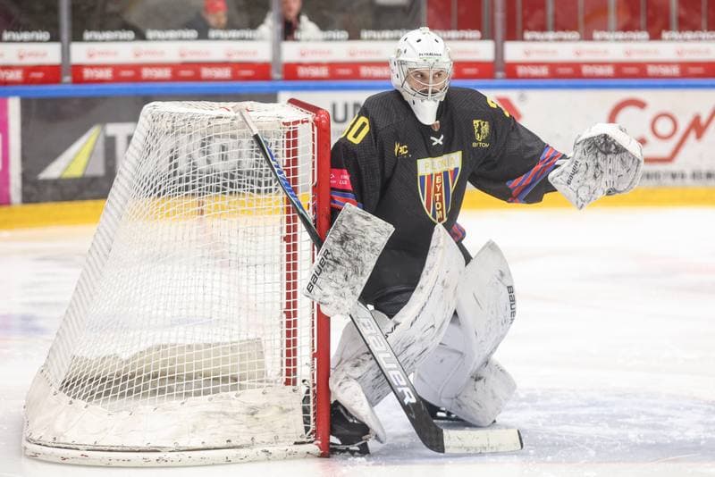 Ice Hockey. Tauron Hokej Liga. GKS Tychy - BS Polonia Bytom. 02.11.2025