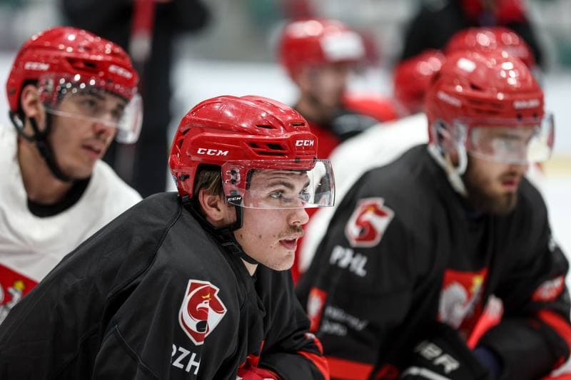 Ice Hockey. Poland national team. Training. 04.11.2025