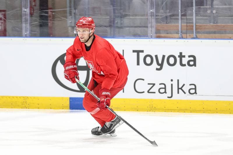 Ice Hockey. Poland national team. Training. 04.11.2025