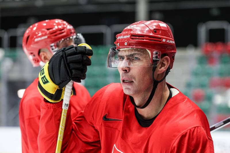 Ice Hockey. Poland national team. Training. 04.11.2025