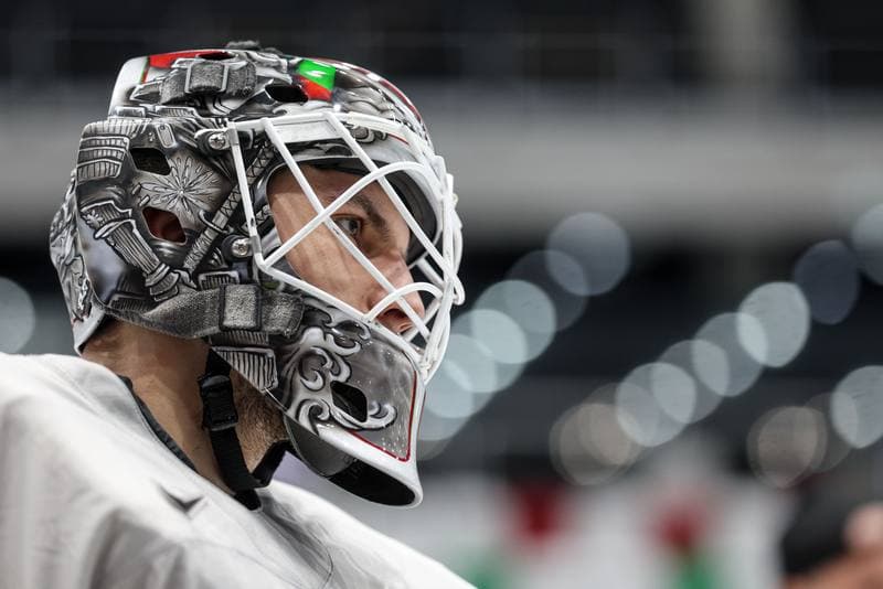 Ice Hockey. Poland national team. Training. 04.11.2025