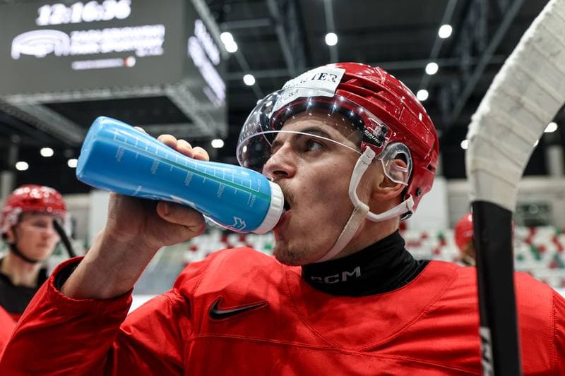 Ice Hockey. Poland national team. Training. 04.11.2025