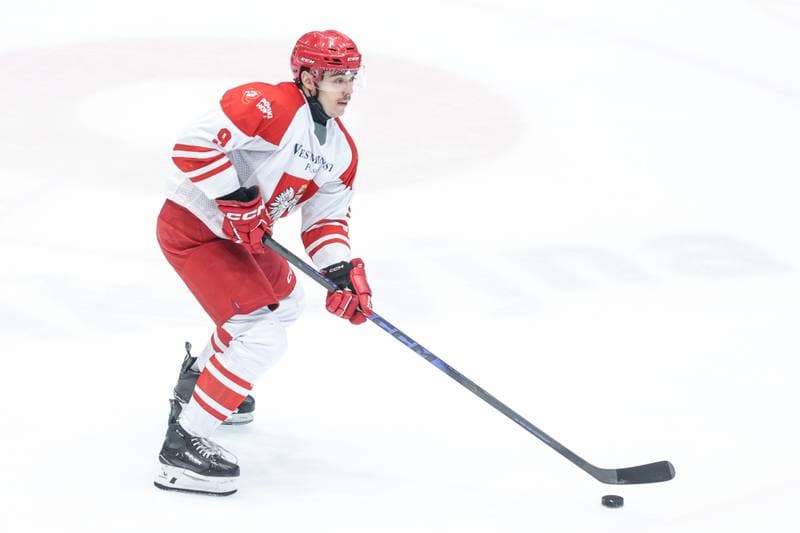 Ice Hockey. IIHF European Cup of Nations. Poland - Slovenia. 07.11.2025