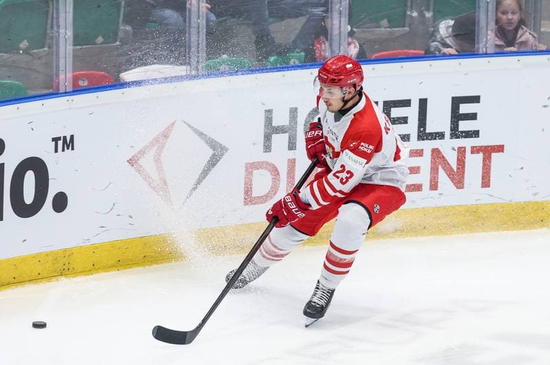 Ice Hockey. IIHF European Cup of Nations. Poland - Slovenia. 07.11.2025