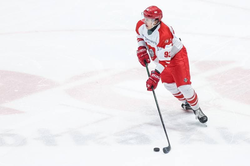 Ice Hockey. IIHF European Cup of Nations. Poland - Slovenia. 07.11.2025