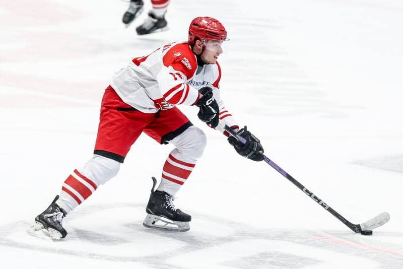 Ice Hockey. IIHF European Cup of Nations. Poland - Great Britain. 08.11.2025
