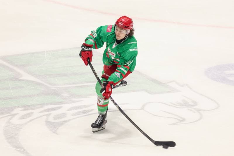 Ice Hockey. Tauron Hokej Liga. KS Unia Oswiecim - ECB Zaglebie Sosnowiec. 14.11.2025