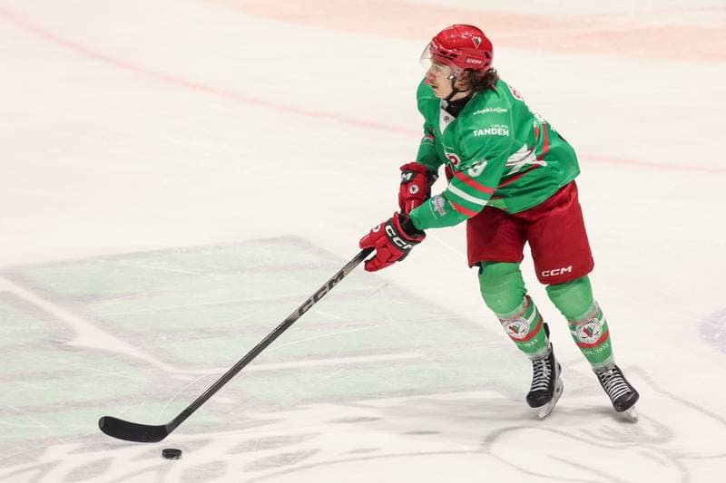 Ice Hockey. Tauron Hokej Liga. KS Unia Oswiecim - ECB Zaglebie Sosnowiec. 14.11.2025